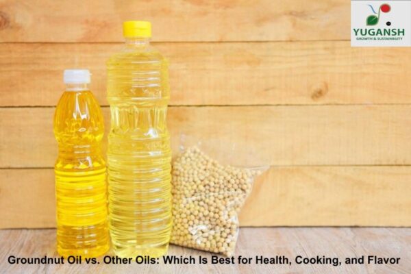 groundnut oil vs other oils