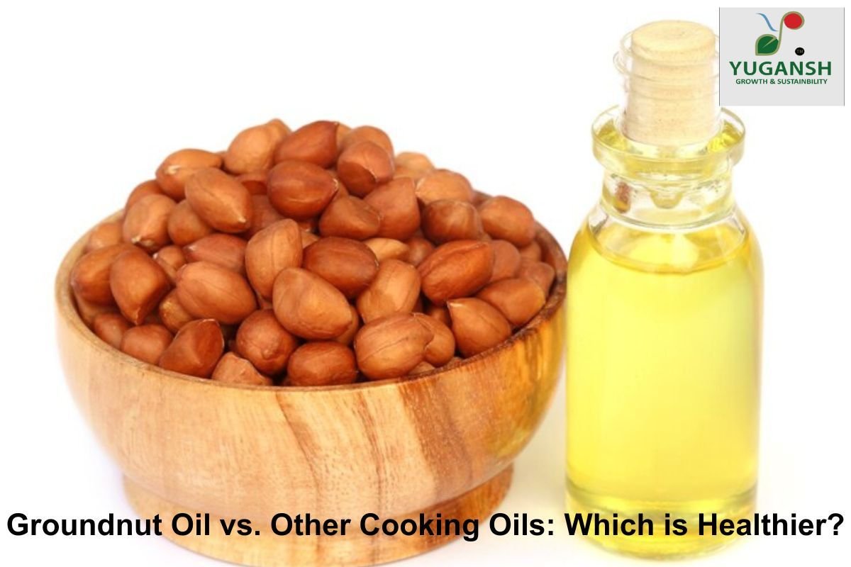 Groundnut Oil vs. Other Cooking Oils