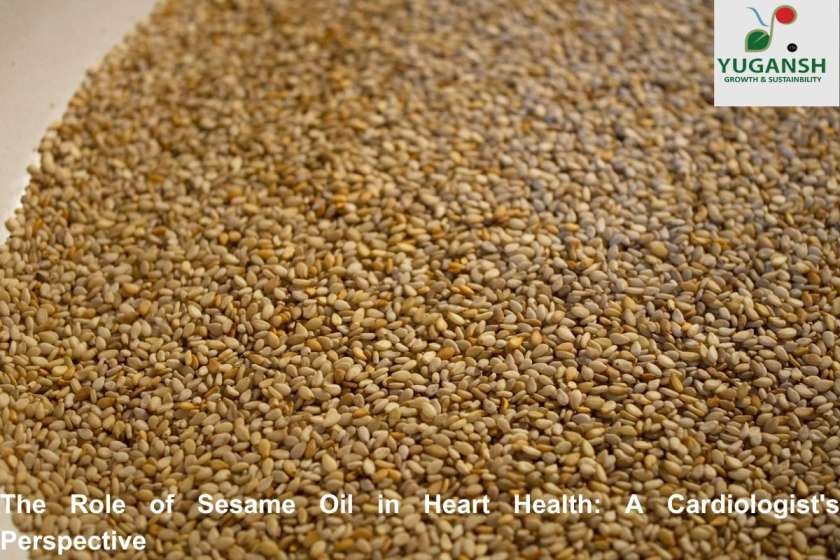 Role of Sesame Oil in Heart Health