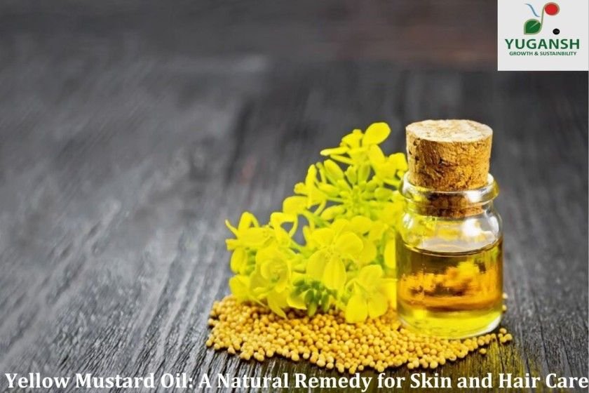 yellow mustard oil