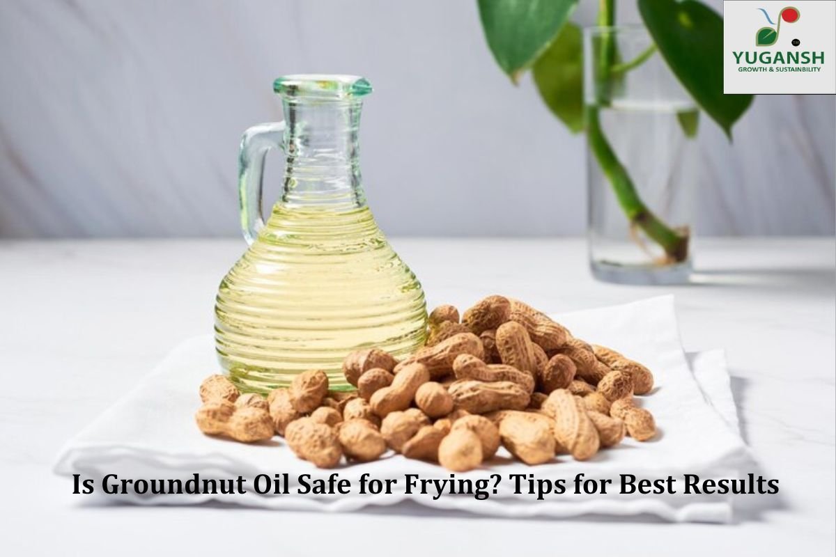 groundnut oil for frying