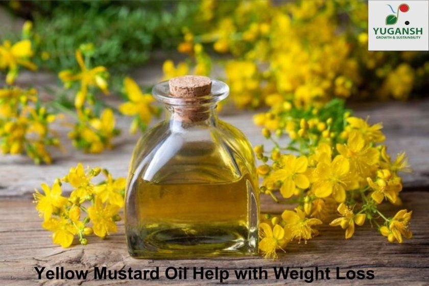 yellow mustard oil